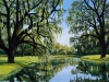 majestic-live-oaks-10-w-72dpi_2